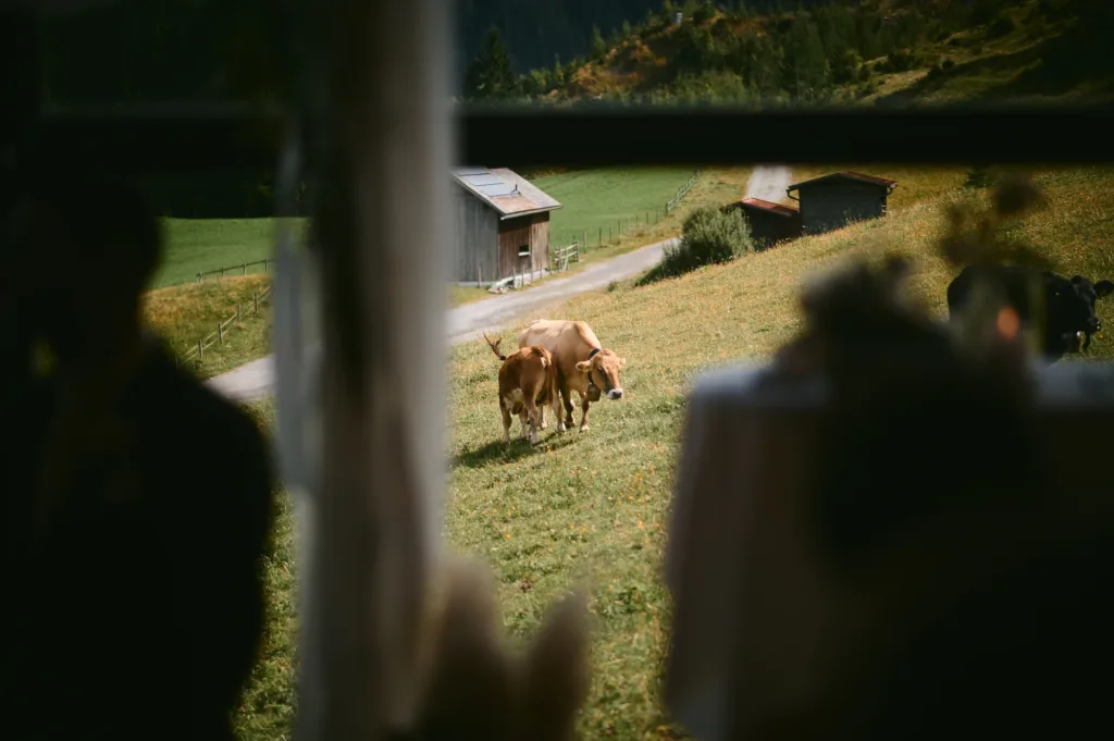 Gäste genießen die Berglandschaft waehrend der Hochzeit